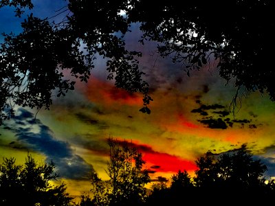 Colorful Sunset Over Tree Tops photo