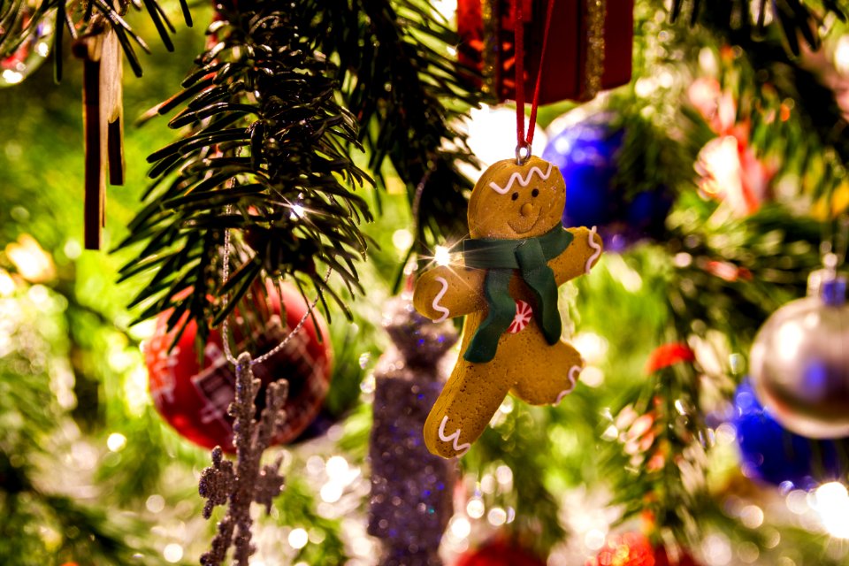 Gingerbread Man Ornament Hanging On Christmas Tree