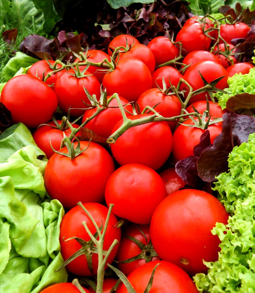 Tomatoes And Lettuce