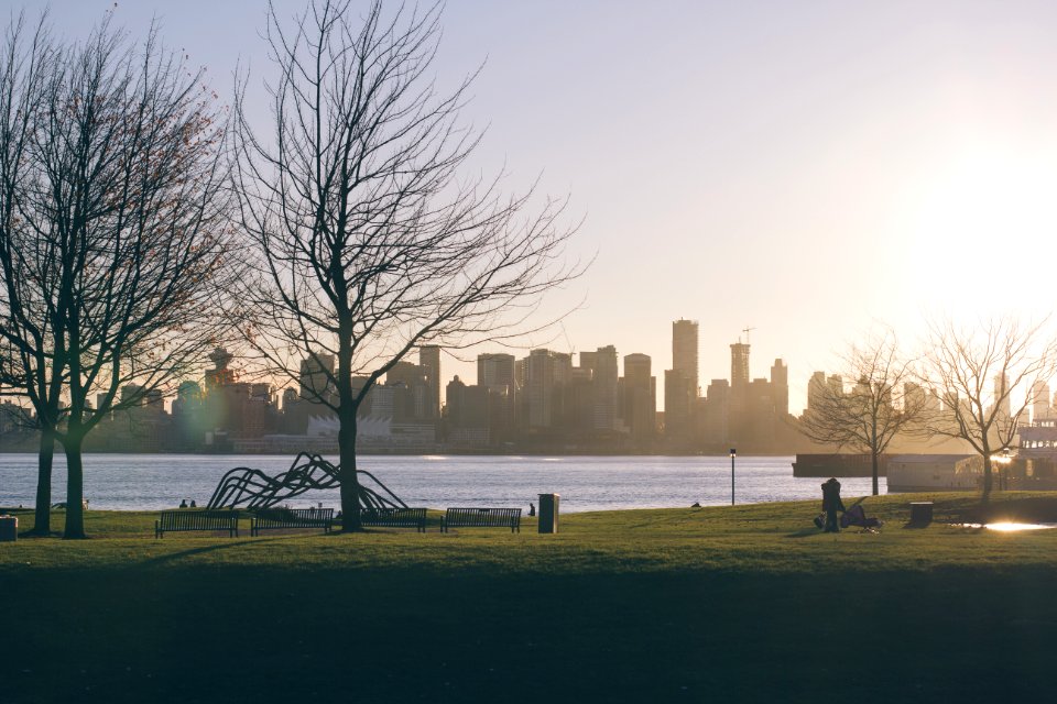 Park Across Lake From City