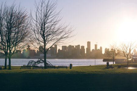 Park Across Lake From City