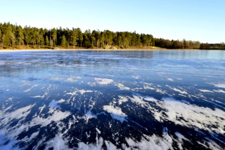 Swedish Lake Bordering Dense Forest photo