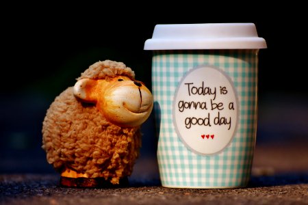 Sheep And Cup Of Coffee