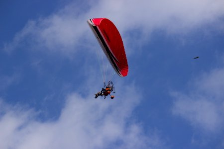 Red And Black Parachute photo