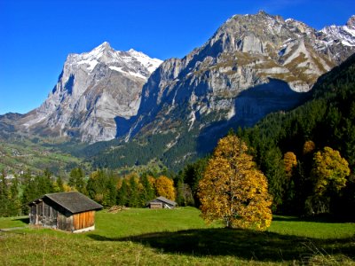 Swiss Countryside