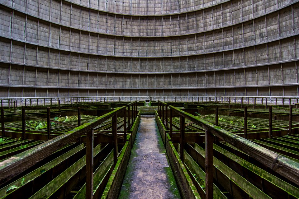 Geometric Structure