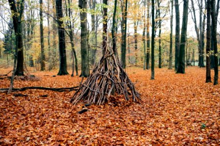 Teepee Shelter