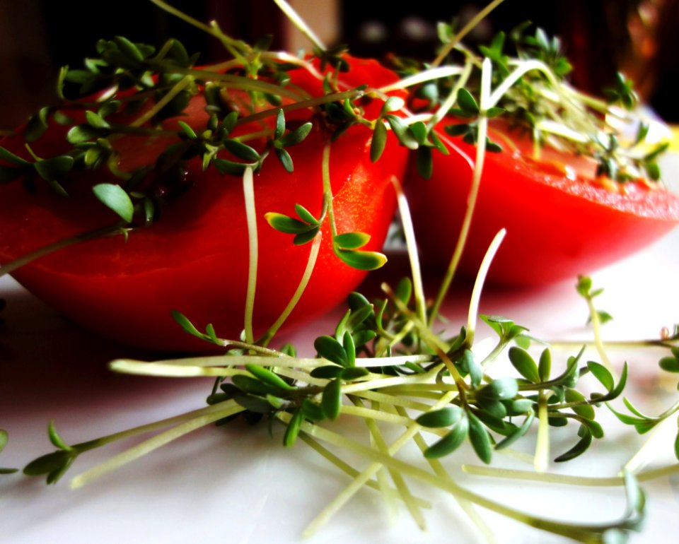 Red Food And Leaf Vegetable
