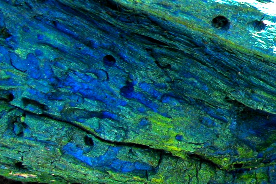 Blue-green Texture