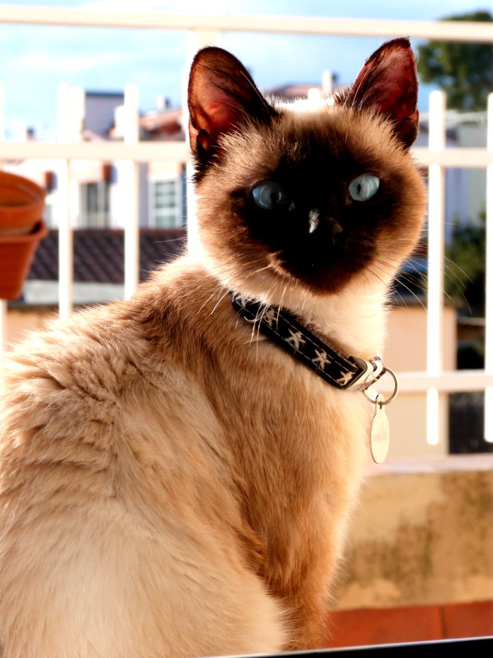 On The Windowsill