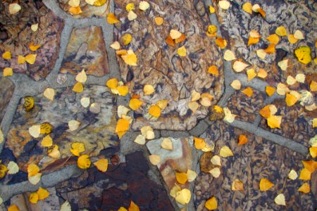Ground Shot 3