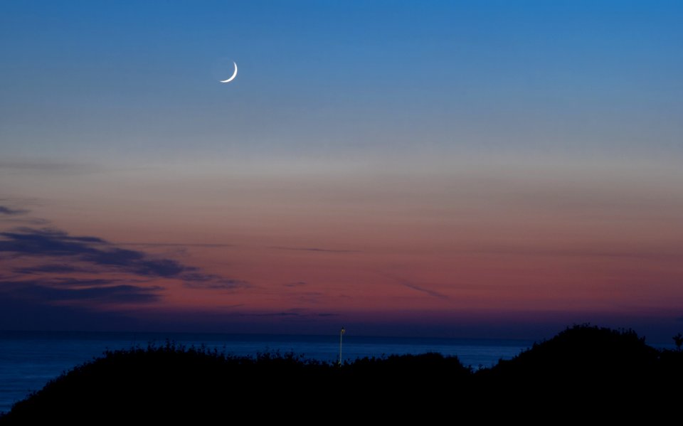 MM38A-1405 TVJ SEA AST MOON LEX D3000 OP