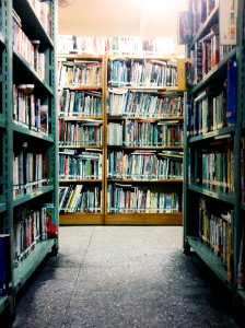 Books In Library photo