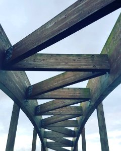 Wood Structure photo