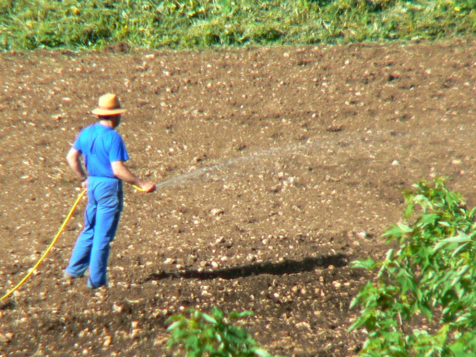 MM00-0905 TRV C Del MONTE FARMER TEL FZ7