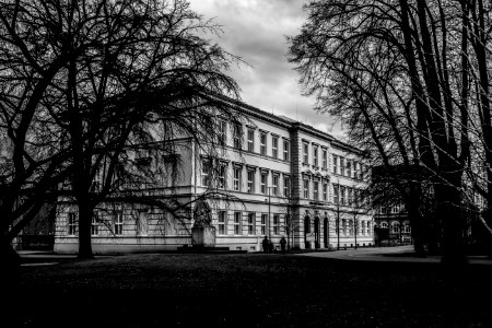 Black And White Picture Of Building Surrounded By Trees