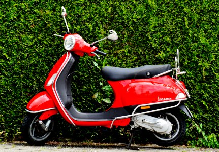 Red And Black Moped Scooter Beside Green Grass photo