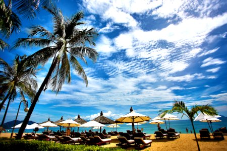 Tropical Beach