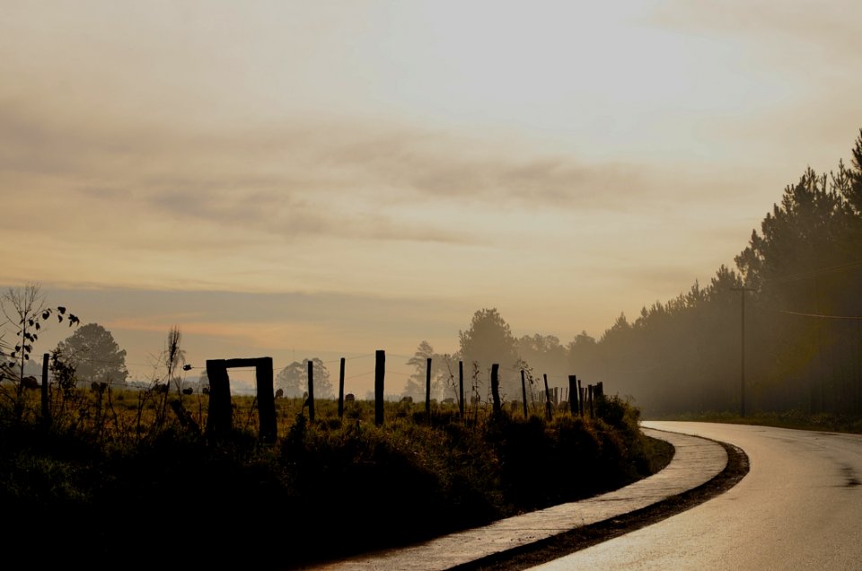 Black Curve Asphalt Road Beside Green Field