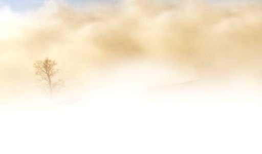 Bare Tree Duting Sand Storm