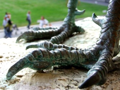 Italy-Vatican - Creative Commons By Gnuckx