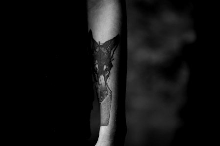 Wolf Tattoo