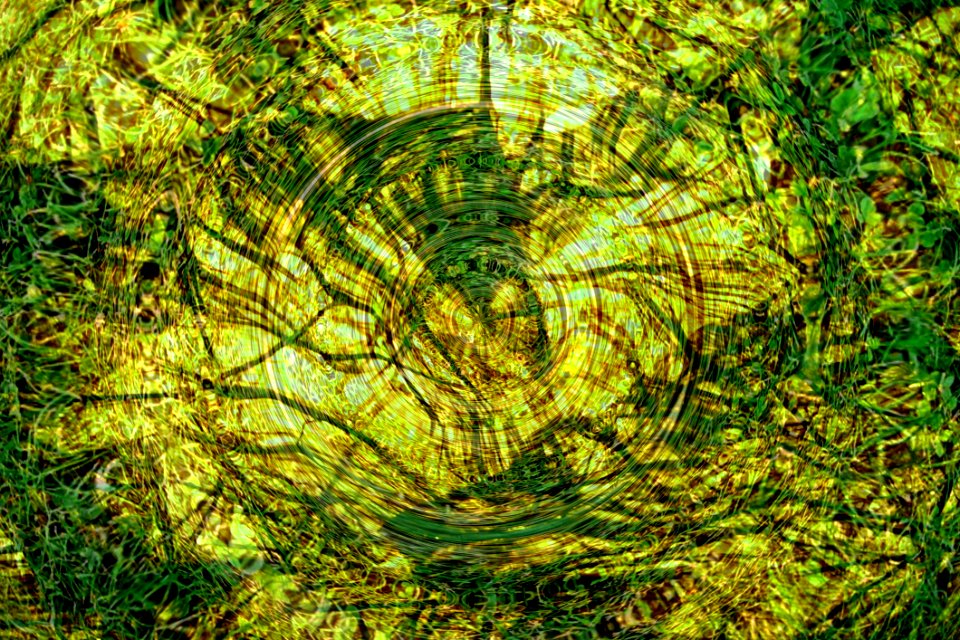 Green And Gold Circles