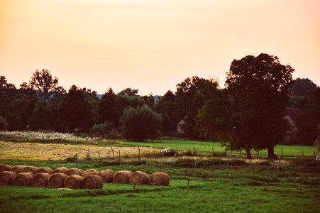 Hay Bales In Field photo
