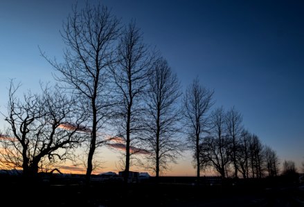 Trees And Clouds