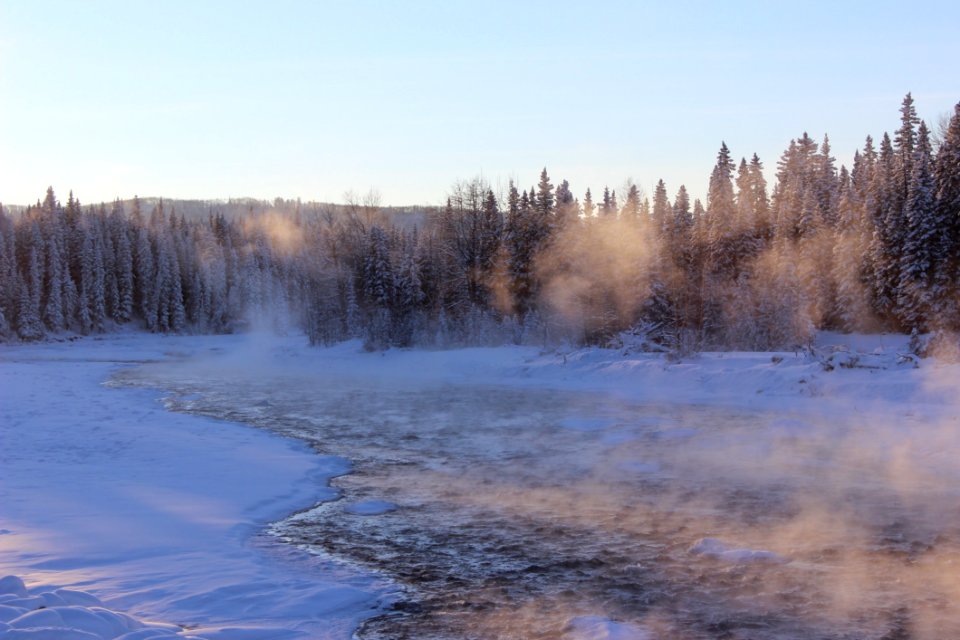 Mist Over Icy Lake By A Forest