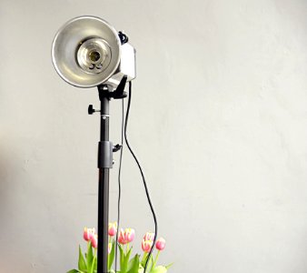 Studio Light And Tulips