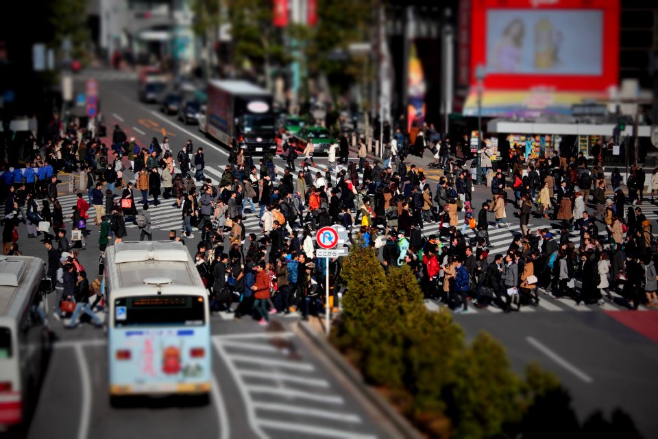 White Bus On Concrete Street Near Group Of People Crossing Pedestrian Lane