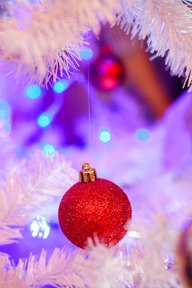 Red Bauble On Christmas Tree