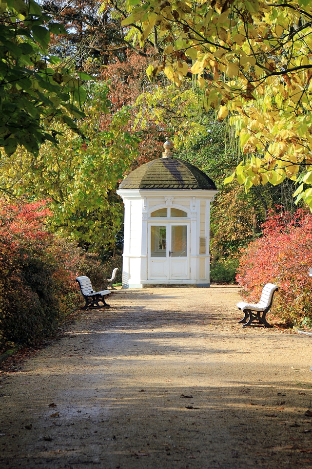 Pavilion autumn tree