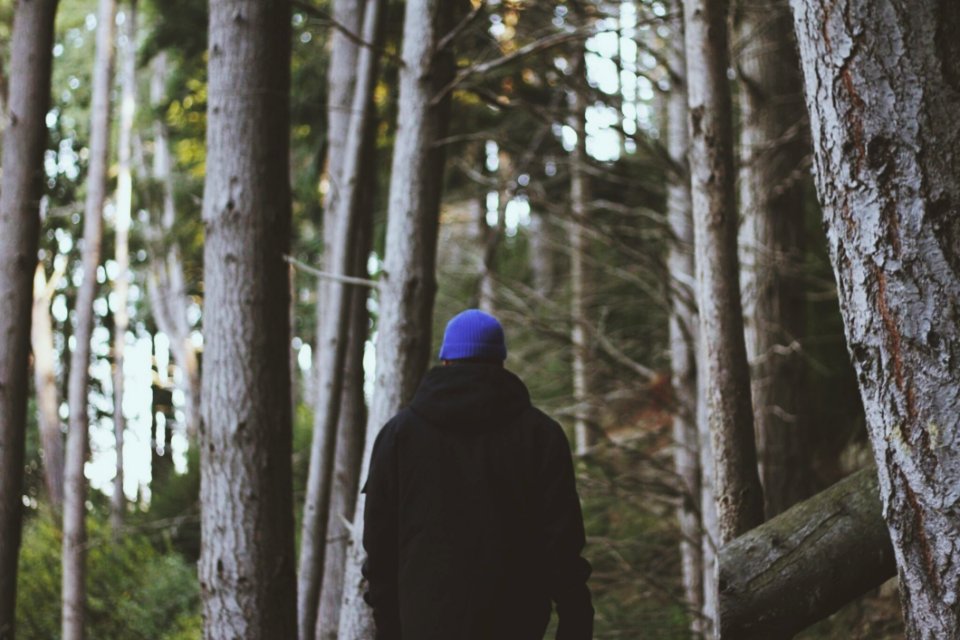 Rear View Of Man In Forest