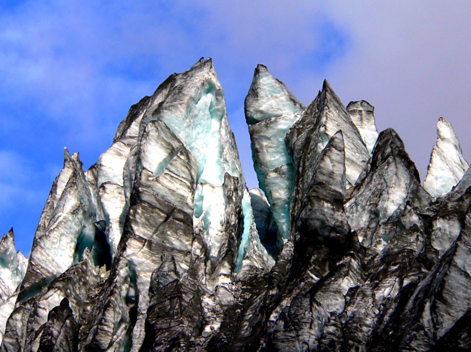 Fox Glacier NZ (7)