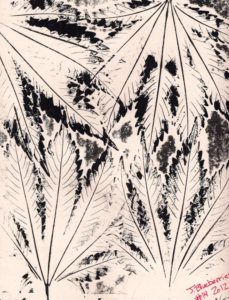 Abstract Ink Leaf Drawing