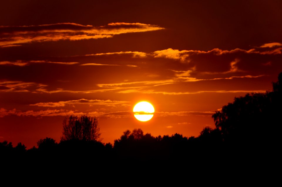 Burning Sun