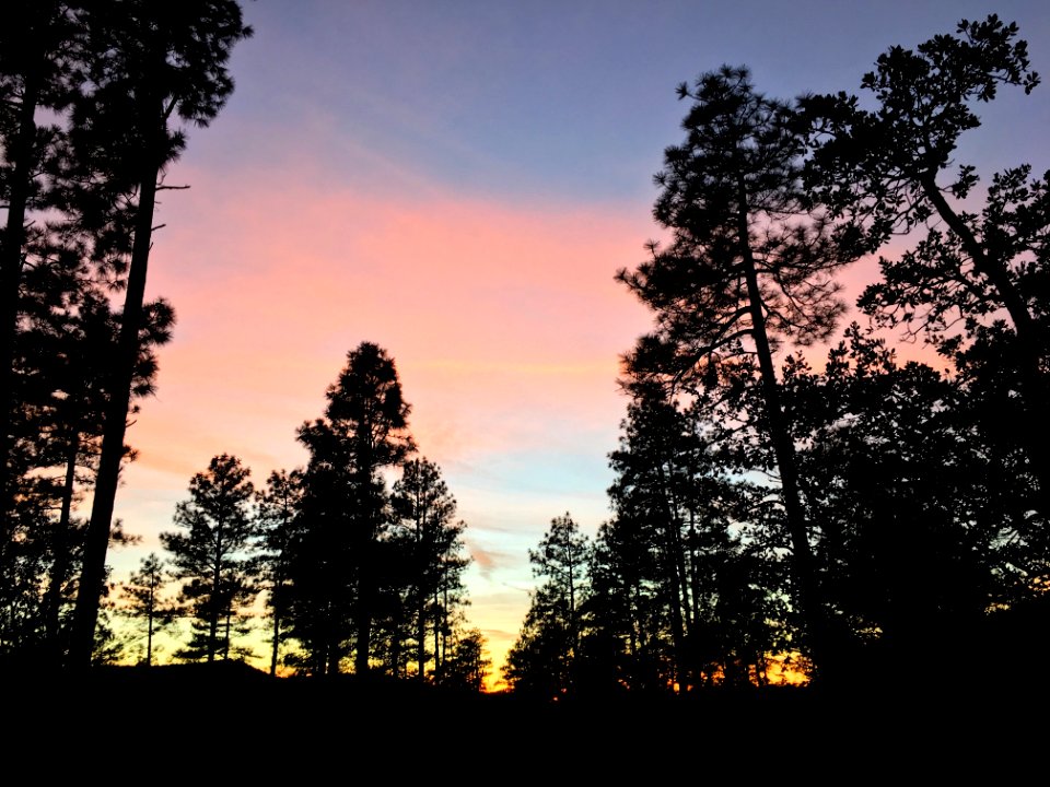 The Evening Gradient Show