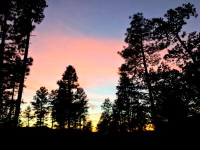 The Evening Gradient Show