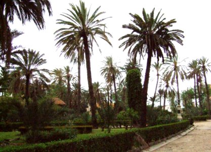 Palermo-Sicily-Italy - Creative Commons By Gnuckx