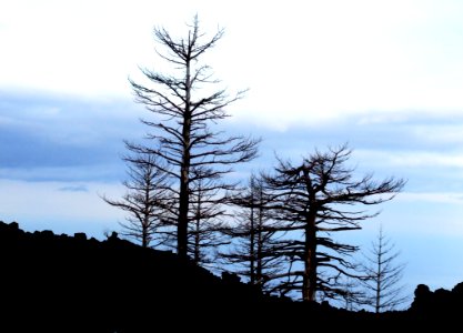 Etna-Volcano-Sicily-Italy - Creative Commons By Gnuckx