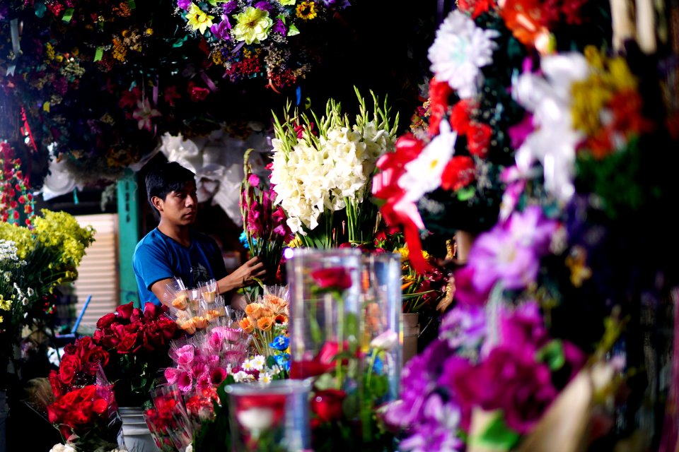 Surrounded By Flowers