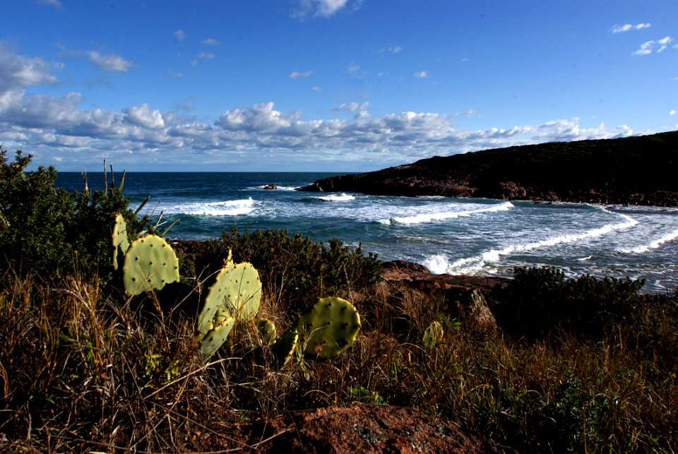 Fishermans Bay New South Wales Aust
