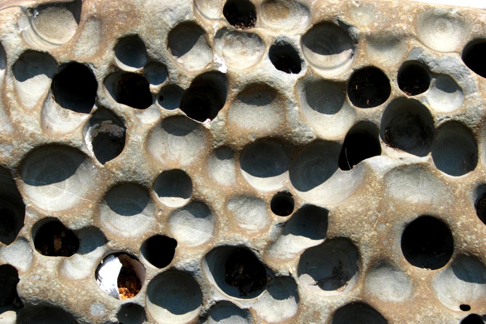 Rock With Little Holes