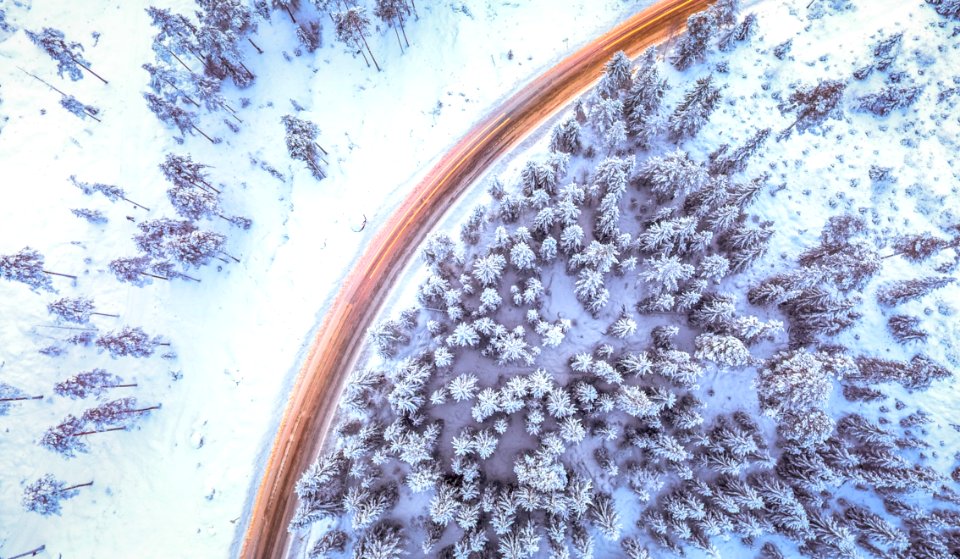Road Next To Forest