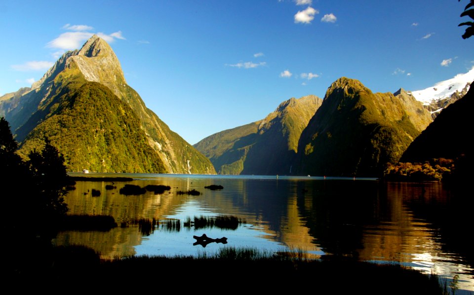 Milford Sound FiordlandNZ