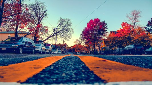 Street With Cars Aside