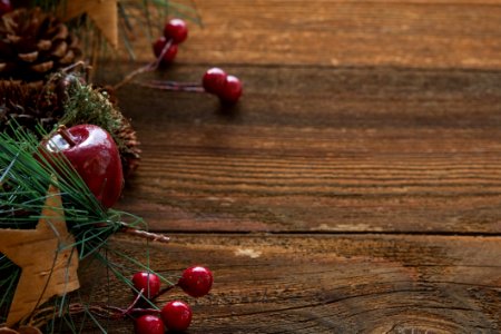 Christmas Decorations