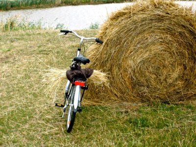 Stealing Some Hay photo